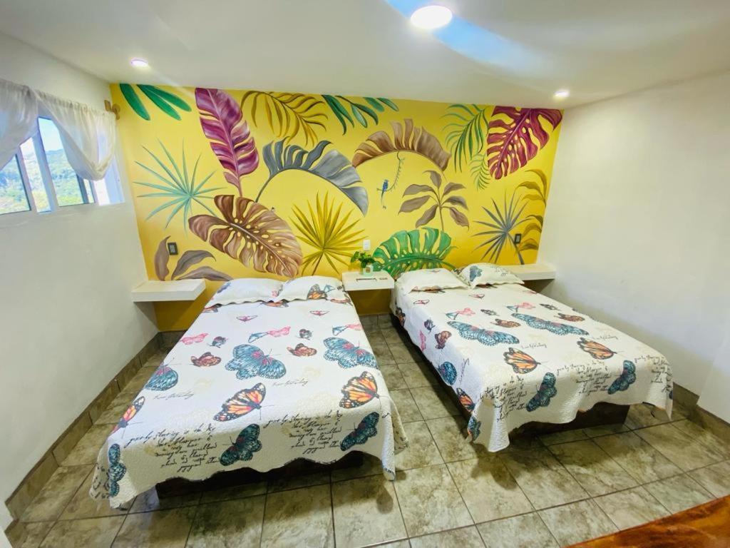 K&M Hotel Xilitla Esterno foto